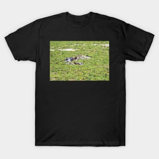 Hippos of Lake Manyara #1 T-Shirt